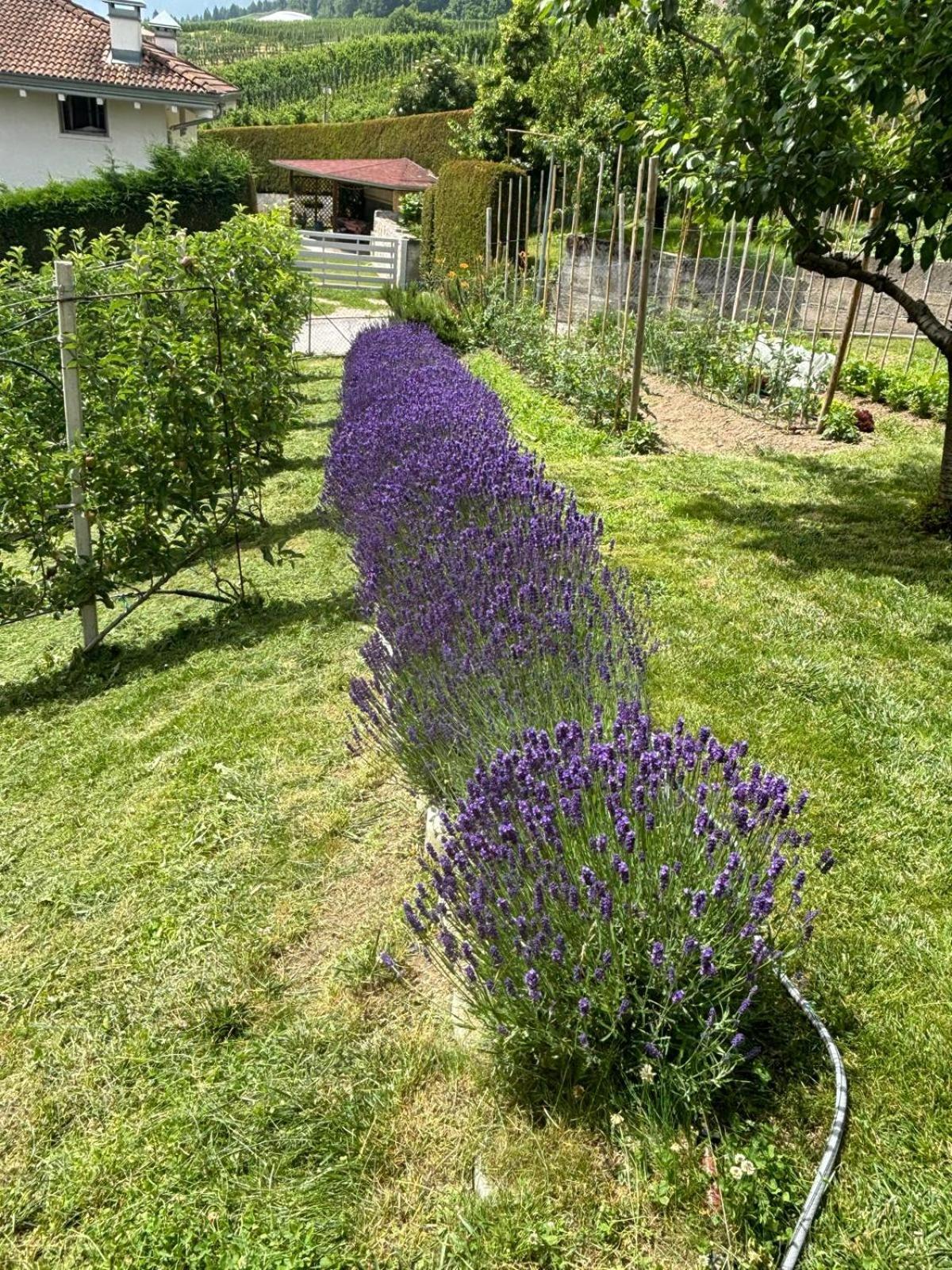 Il Nido Del Peller *